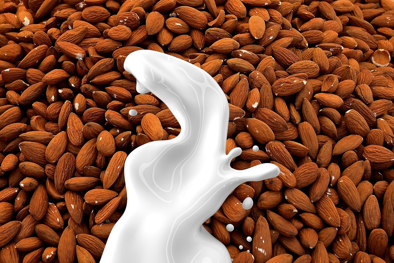 entdecken sie die welt der pflanzenbasierten milchalternativen! erfahren sie mehr über verschiedene sorten, ihre gesundheitlichen vorteile und köstliche rezepte.